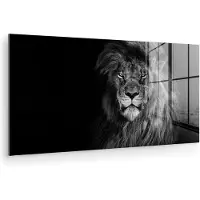 MuchoWow Glasschilderij - Foto op glas - Dieren - Leeuw - Ogen - Oranje - 40x20 cm - Acrylglas - Glasschilderij leeuw - Wanddecoratie glas - Woondecoratie - Woonkamer