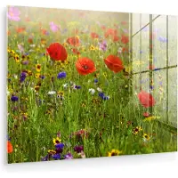 MuchoWow Glasschilderij 80x60 cm - Schilderij acrylglas - Lente - Bloemen - Rood - Klaproos - Gras - Groen - Foto op glas - Muurdecoratie woonkamer - Wanddecoratie slaapkamer - Schilderijen