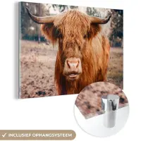 MuchoWow - Glasschilderij - Schotse hooglander - Dieren - Koe - Foto op glas - Acrylglas - 150x100 cm - Glasschilderij Schotse hooglander - Glasschilderij dieren - Schilderij glas