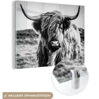 MuchoWow Glasschilderij - Foto op glas - Schotse hooglander - Natuur - Koe - Zwart wit - Acrylglas - Wanddecoratie - 80x60 cm - Glasschilderij Schotse hooglander - Schilderij glas - Kamer decoratie