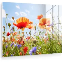 MuchoWow Glasschilderij 160x120 cm - Schilderij acrylglas - Bloemen - Klaproos - Lente - Natuur - Rood - Blauw - Foto op glas - Muurdecoratie woonkamer - Wanddecoratie slaapkamer - Schilderijen