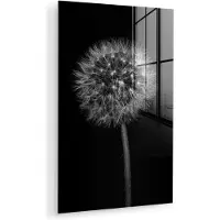MuchoWow Glasschilderij 120x180 cm - Schilderij acrylglas - Paardenbloem - Zwart - Bloemen - Botanisch - Foto op glas - Muurdecoratie woonkamer - Wanddecoratie slaapkamer - Schilderijen