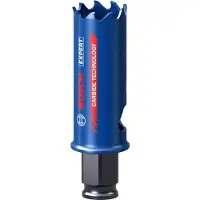 Bosch Expert gatzaag voor taai materiaal 22 x 60 mm - 2608900420