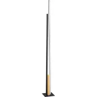 Eglo Moderne staande lamp Panagria met led