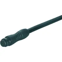 Binder 77-7406-0000-50004-0 Serie 620 | 4 Polige Female Connector | PUR Kabel | 2 meter