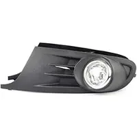 BSG 90-816-004 Mistlamp