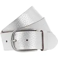 Vanzetti Riem zilver