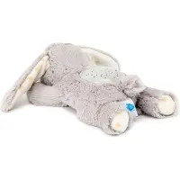 Cloud B Dream Buddies (cb7472-bug) Toy Grijs Kinderen