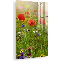 MuchoWow Glasschilderij 40x60 cm - Schilderij acrylglas - Lente - Bloemen - Rood - Klaproos - Gras - Groen - Foto op glas - Muurdecoratie woonkamer - Wanddecoratie slaapkamer - Schilderijen