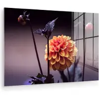 MuchoWow Glasschilderij 180x120 cm - Schilderij acrylglas - Bloemen - Chrysant - Macro - Planten - Foto op glas - Muurdecoratie woonkamer - Wanddecoratie slaapkamer - Schilderijen