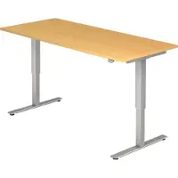 Hjh OFFICE PRO XMST 19 S - Beuken 180 x 80 Tafelhoogte I Elektrisch in hoogte verstelbaar