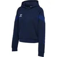 Hummel Sportief sweatshirt 'TRAVEL'