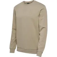 Hummel Sportsweatshirt 'ACTIVE'