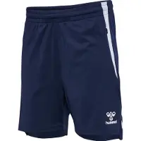 Hummel Sportbroek 'Lead 2.0' marine / offwhite