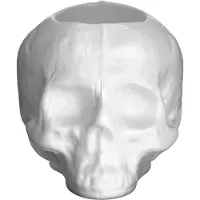 Kosta Boda Still Life Skull Lantaarn Wit - Kandelaars Kristalglas White - 7062200
