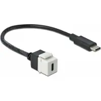 DeLOCK USB-C Keystone module - USB-C (m) | USB3.0 5 Gbps | wit | 0,25 meter
