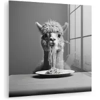 MuchoWow Glasschilderij 50x50 cm - Schilderij acrylglas - Alpaca - Pasta - Zwart - Wit - Grappig - Dieren - Foto op glas - Muurdecoratie woonkamer - Wanddecoratie slaapkamer - Schilderijen