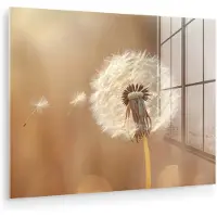 MuchoWow Glasschilderij 40x30 cm - Schilderij acrylglas - Paardenbloem - Beige - Natuur - Bloem - Foto op glas - Muurdecoratie woonkamer - Wanddecoratie slaapkamer - Schilderijen