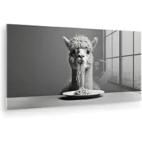 MuchoWow Glasschilderij 40x20 cm - Schilderij acrylglas - Alpaca - Pasta - Zwart - Wit - Grappig - Dieren - Foto op glas - Muurdecoratie woonkamer - Wanddecoratie slaapkamer - Schilderijen