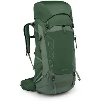 Osprey - Trekkingrugzakken - Talon 44 Green Canopy/Pine Leaf voor Heren - Maat L/XL - Groen