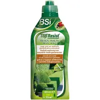 Bsi Top Resist Buxus En Hagen Tegen Buxusmot