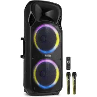 Fenton FT212LED MK2 party speaker met Bluetooth - Dubbele 12 inch