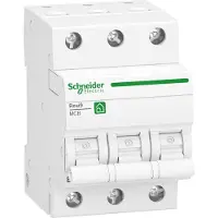 Schneider Electric R9F23350 Zekeringautomaat