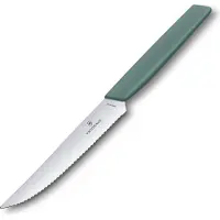 Victorinox Swiss Modern 6.9006.12W43 steakmes 12 cm, Sage