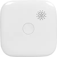 Smartwares FSM-12601 Rookmelder wifi