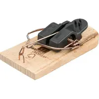 Swissinno Supercat Muizenval (hout) Tegen Muizen