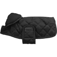 Kentucky Dog Coat Original