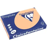 Clairefontaine Gekleurd papier Abrikoos 80 grams A3 (500 vel)