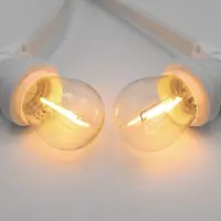LumenXL Prikkabel set met 1 watt LED filament lampen, met witte prikkabel
