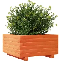 vidaXL Plantenbak 50x50x26,5 cm massief grenenhout wasbruin