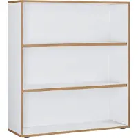 VCM Houten Büro Standplank boekenkast Ordnerplank Boekenkastplank Salia 3-voudig B.100 cm Houten Büro Standplank boekenkast Ordnerplank Boekenkastplank Salia 3-voudig B.100 cm