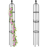 Relaxdays plantensteun klimplanten - set van 2 - 160 x 20 cm - staal - kunststof - zwart
