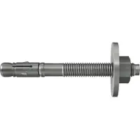 Fischer 543415 Bolzenanker FBZ 8/10 GS A4 Plug 50 stuk(s)