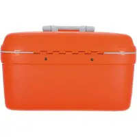 Roncato Beauty Small Beauty Case papaia