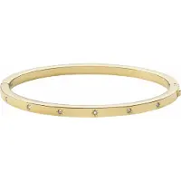 Fossil Armband goud / transparant