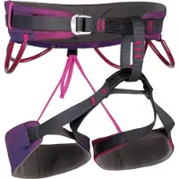 Camp Energy Edition Exclusief Janja Violet Harnas
