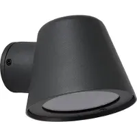 Lucide Dingo Wandlamp Antraciet
