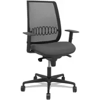 Piqueras Y Crespo Mesh Synchro Wings Ergonomische Bureaustoel