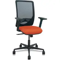 Piqueras Y Crespo Zulema Synchro Arms 2d Ergonomische Bureaustoel