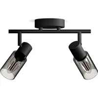 Philips Opbouwspot Palms - Zwart - 16,2cm - 2xe14