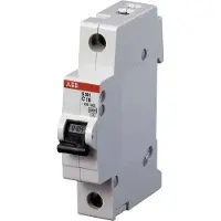 ABB STOTZ-KONTAKT Automatische stroomonderbreker 6kA 63A C 1p S201-C63