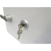 Phoenix Brandbeveiligingskast FS 1283 K, sleutelslot, staal, signaalwit RAL 9003, signaalwit RAL 9003