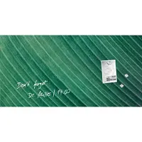 Sigel SI-GL371 Glasmagneetbord Artverum Palm Leaf 91x46 cm Groen