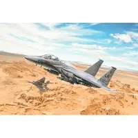 Wittmax Modelbouwpakket Vliegtuigen - 2803 F-15E Strike Eagle Plane Plastic - 1:48 - Modelbouw