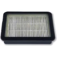Rowenta ZR904501 na-motor filter (1 stuk, origineel)