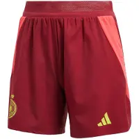 Adidas Sportbroek 'Germany 25 Away Authentic' goud / rood / donkerrood